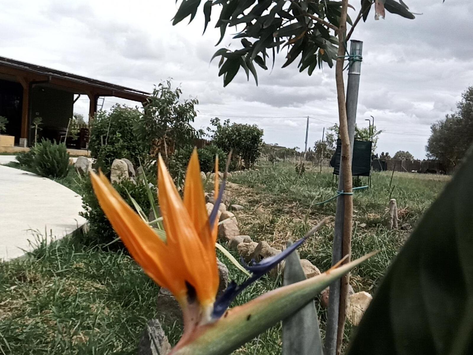 Podere Kiri Dome Experience Decimomannu 外观 照片
