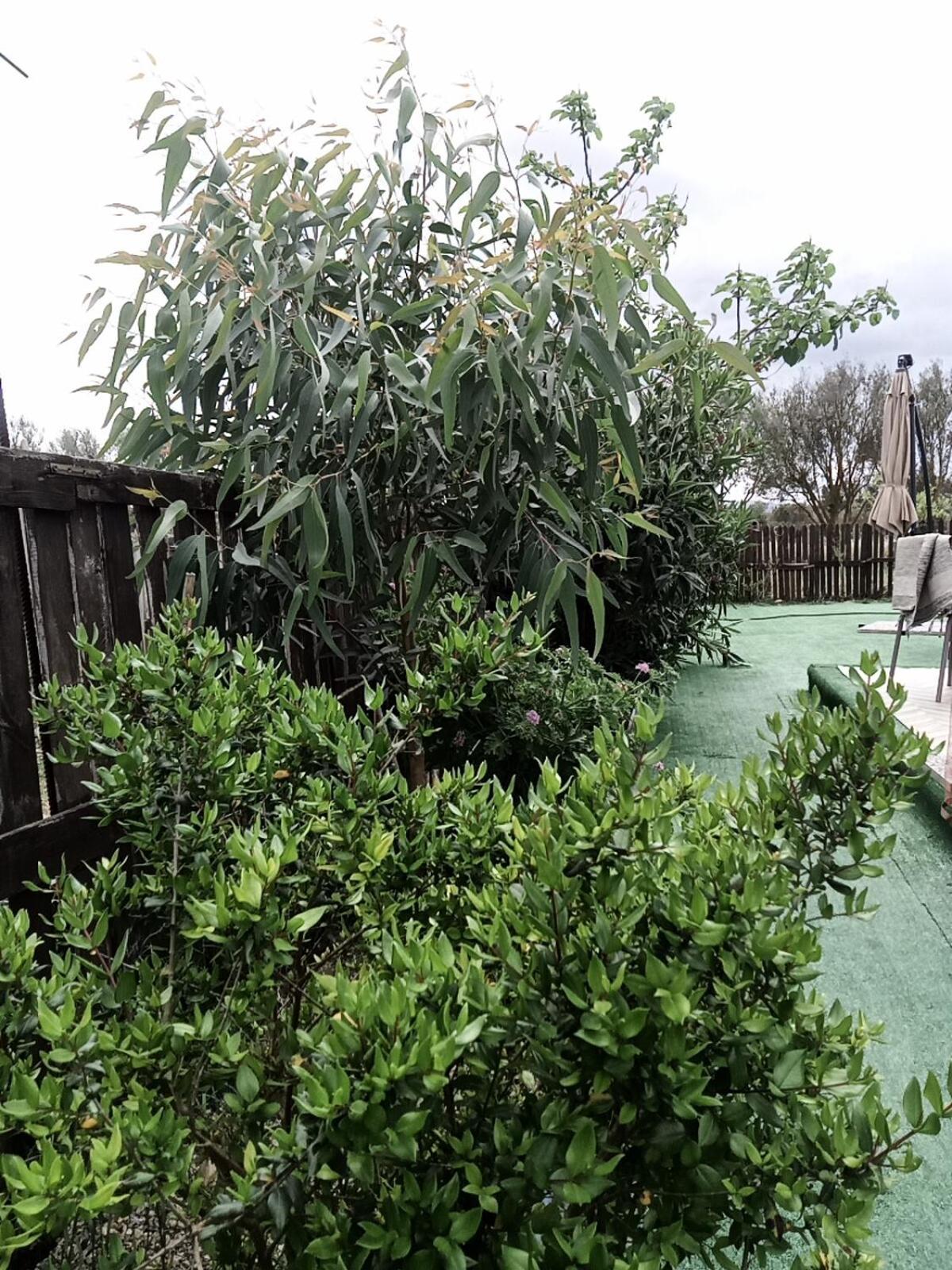 Podere Kiri Dome Experience Decimomannu 外观 照片